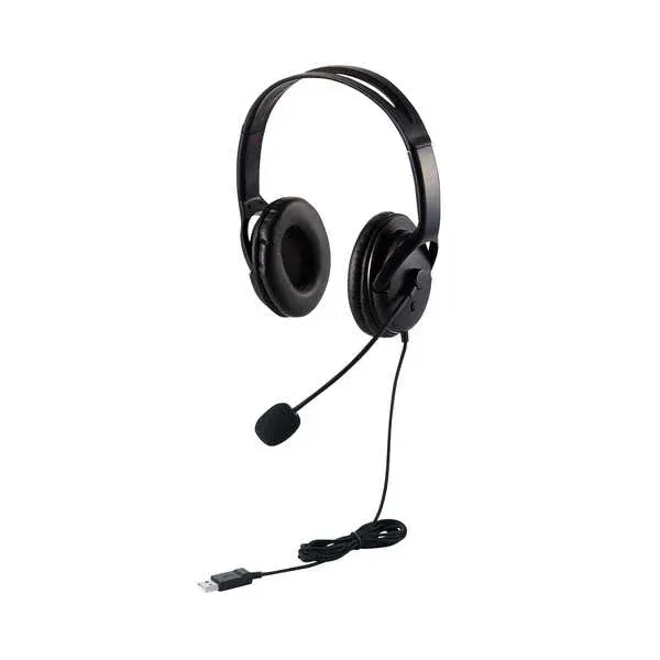 ELECOM Type-C変換付き大型オーバーヘッドセット HP28UC