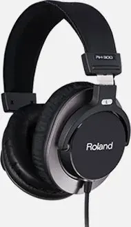 Roland RH-300 Stereo Headphones
