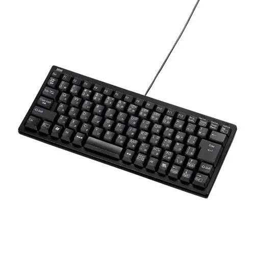 サンワサプライ コンパクトキーボード（テンキーなし） SKB-KG3N2