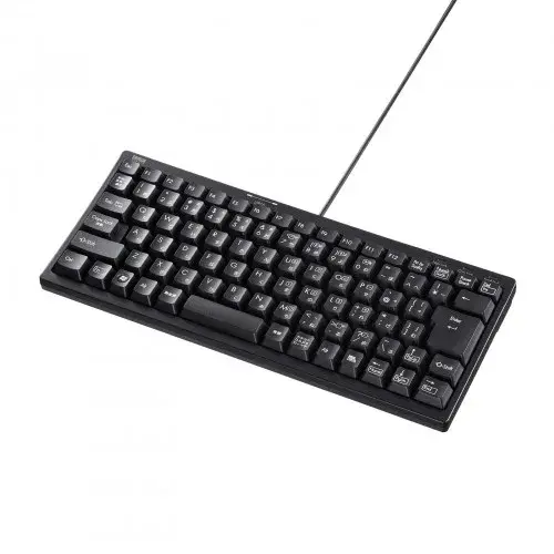 サンワサプライ USBハブ付コンパクトキーボード（テンキーなし・2ポート） SKB-KG3UH2BK