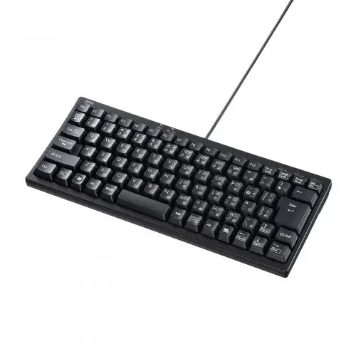 サンワサプライ USBハブ付コンパクトキーボード(テンキーなし・USB5Gbps) SKB-KG3UH3BK