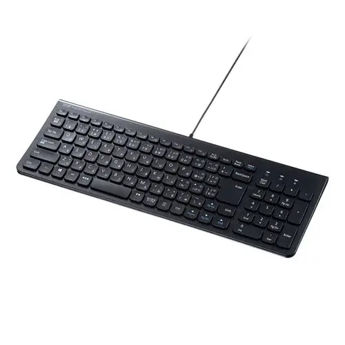 サンワサプライ USB Type-Cスリムキーボード（テンキー付き） SKB-SL31CBK