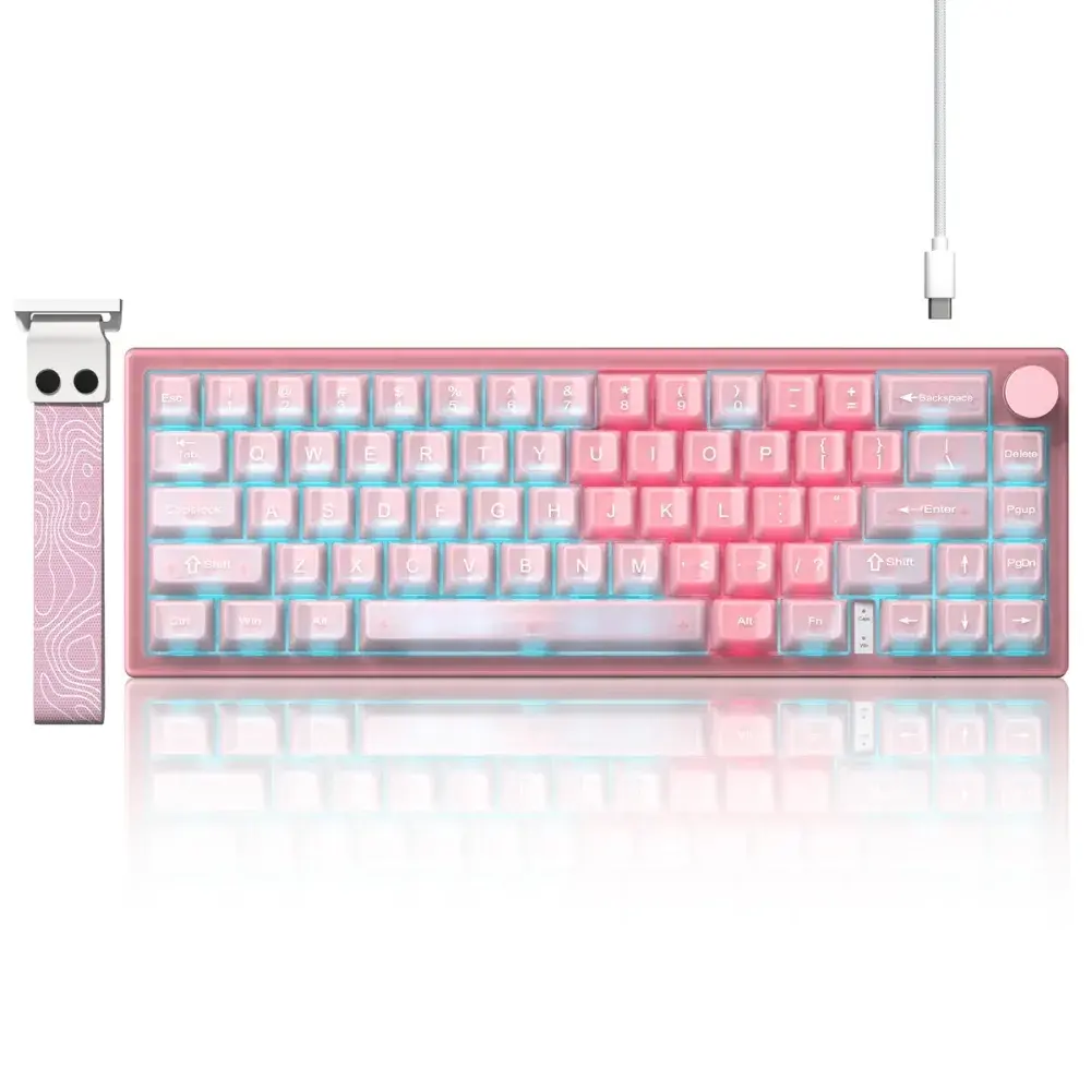 Womier VK66 Pro 65% Gasket Mechanical Keyboard