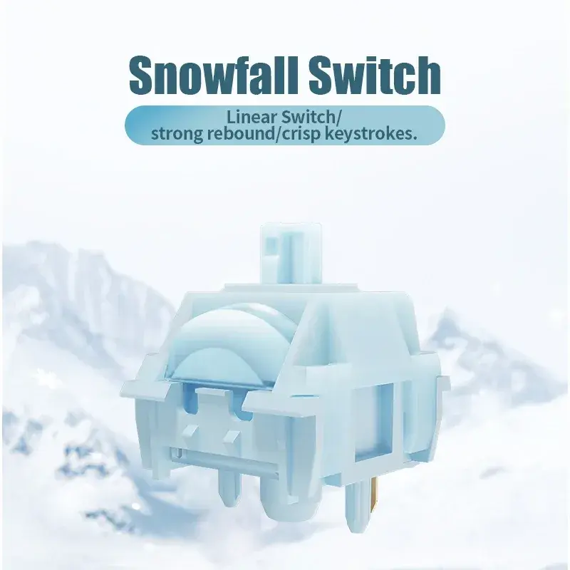 Snowfall