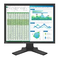 EIZO FlexScan S2134