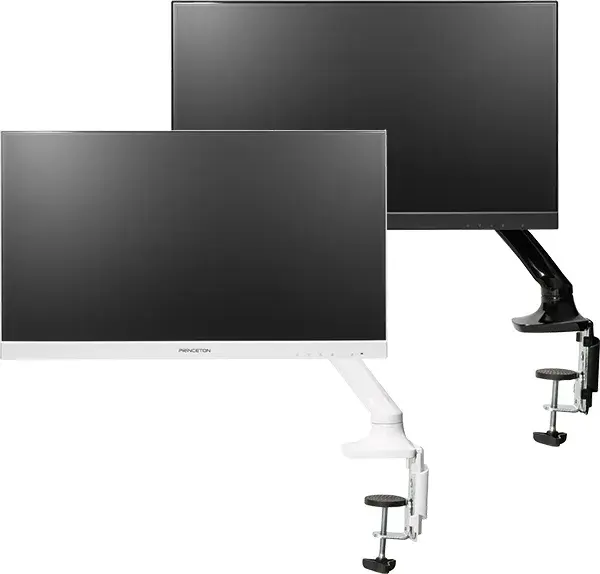 プリンストン 120Hz ADS方式パネル採用 USB Type-C搭載 21.5型 フルHD液晶ディスプレイ モニターアーム付属モデル PTF-B221WA