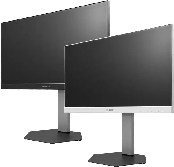 プリンストン 120Hz ADS方式パネル採用 USB Type-C搭載 21.5型 フルHD液晶ディスプレイ 高さ調節スタンドモデル PTF-B221WS