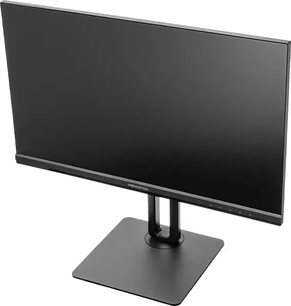 広視野角パネル採用 マルチアングル対応23.8型ワイドカラー液晶ディスプレイ PTF-B241WS-BK