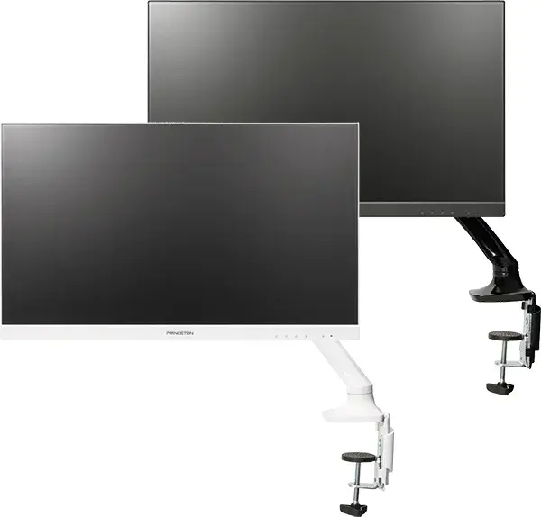 プリンストン 120Hz ADS方式パネル採用 USB Type-C搭載 23.8型 フルHD液晶ディスプレイ モニターアーム付属モデル PTF-B242WA