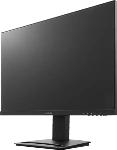 広視野角パネル採用23.8型ワイドカラー液晶ディスプレイ PTFBFG-24W