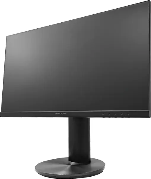 マルチアングル対応 DisplayPort端子搭載 23.8型 広視野角ワイド液晶ディスプレイ PTFBLD-24S