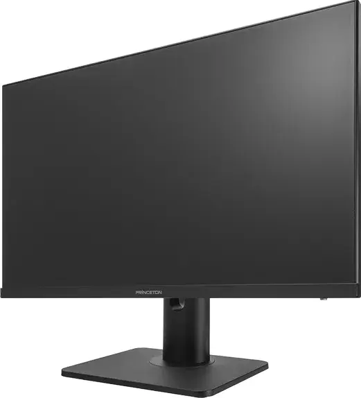HDR対応 100Hz IPS方式パネル採用 USB Type-C搭載 23.8型 フルHD液晶ディスプレイ多機能スタンドモデル PTF-H241WS-BK