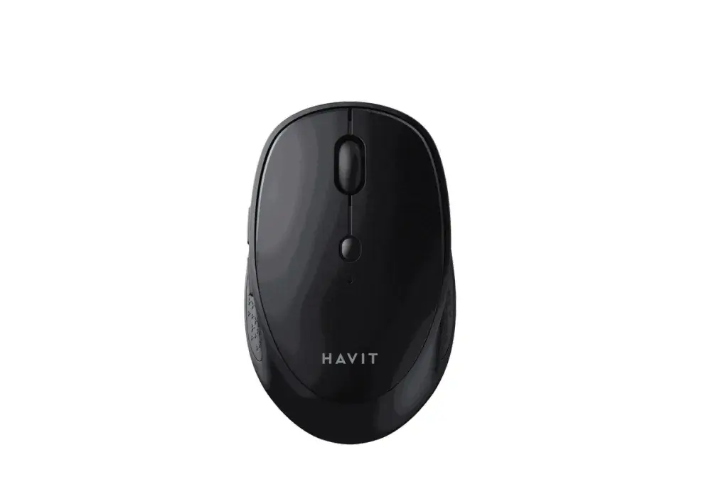 Wireless Mouse MS76GT